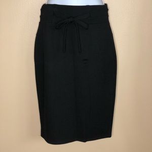 NWOT Classic Concepts Skirt